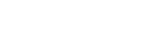 Al Salem Logo